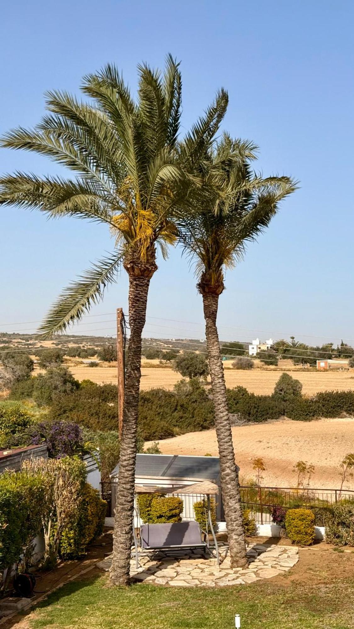 Agios Theodoros Villa Hera מראה חיצוני תמונה